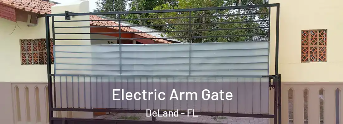  Electric Arm Gate DeLand - FL